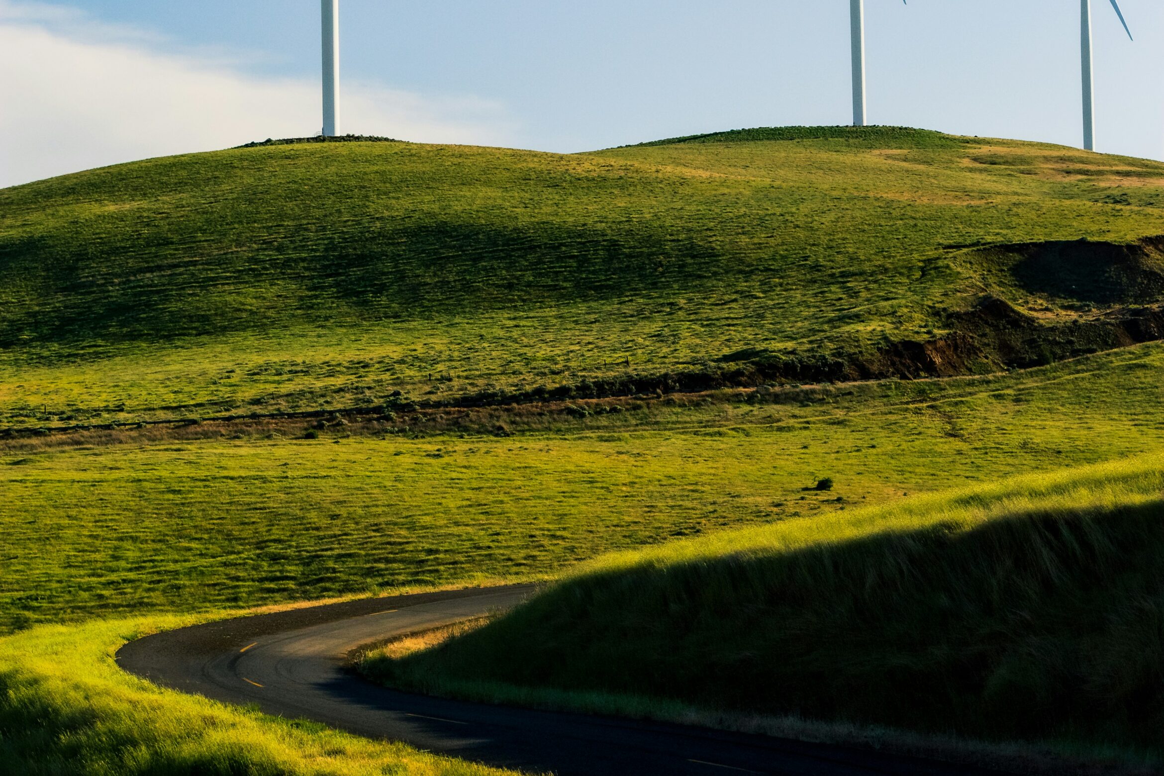 Nature-positive Creativity – Storytelling, Partnerships and new Business opportunities