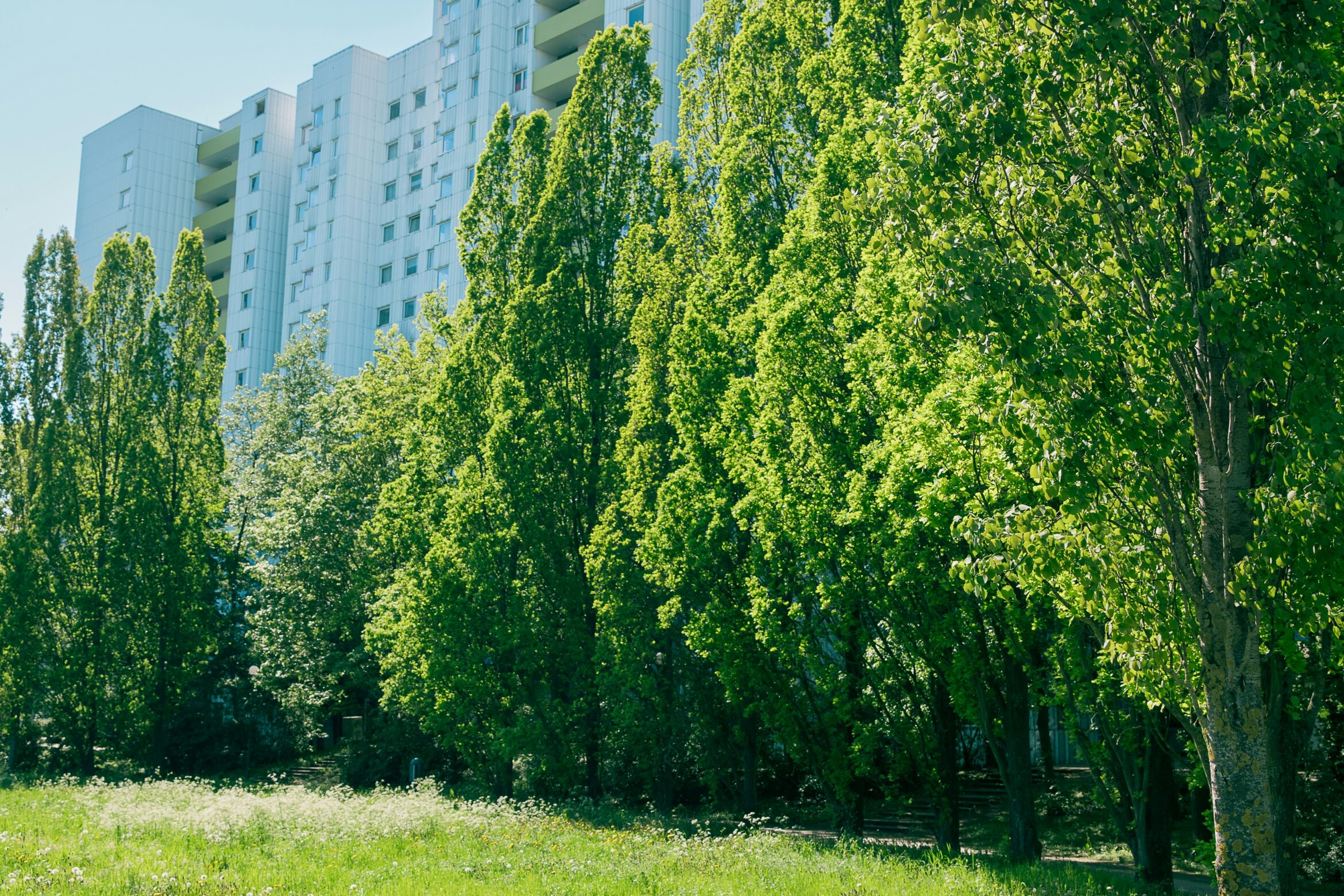 Nature in the Media Supply Chain – the Impact for Service Businesses